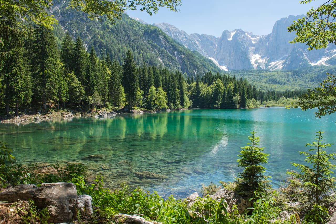 Klarer Bergsee, am Ufer Nadelwald, dahinter helle Felswände